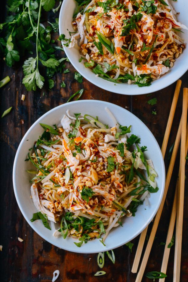 Back to School Lunch Ideas - Cold Noodles With Shredded Chicken - Quick Snacks, Lunches and Homemade Lunchables - Bento Box Style Lunch for People in A Hurry - Fast Lunch Recipes to Pack Ahead - Healthy Ideas for Kids, Teens and Adults 