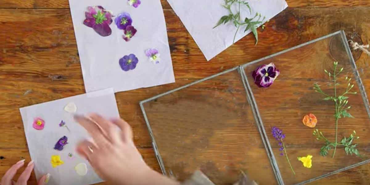 She Presses Flowers In Books And Places Them On Glass For An Amazing Piece Of Art! | DIY Joy Projects and Crafts Ideas