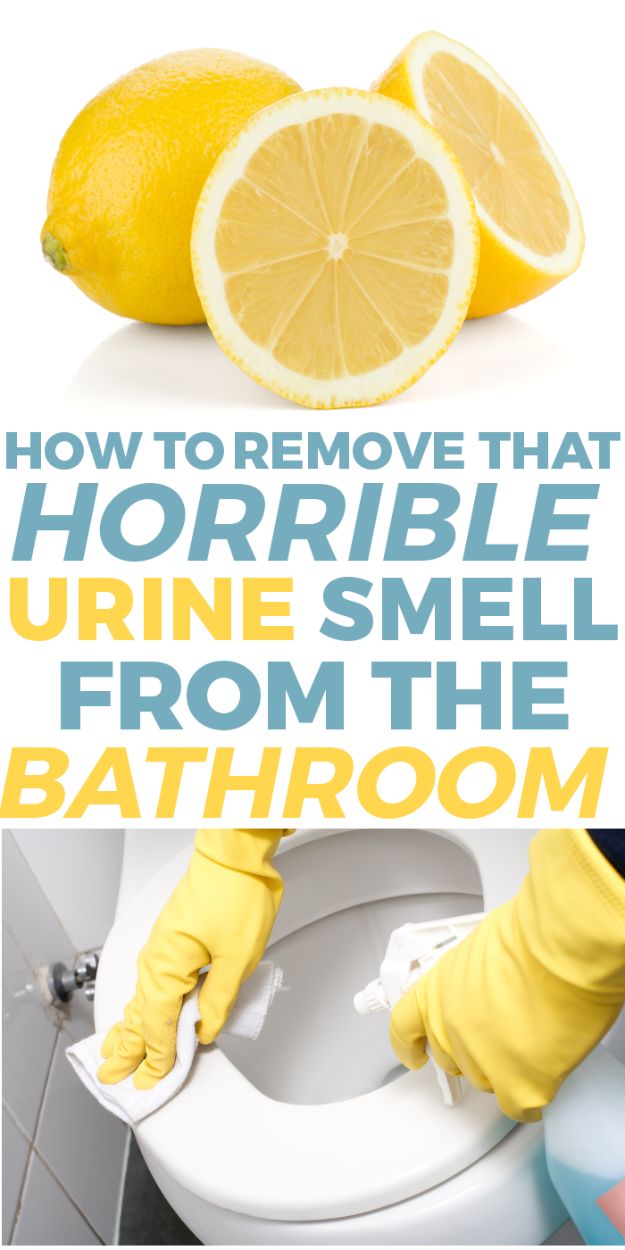 Cleaning Tips and Tricks - Remove that Horrible Urine Smell from the Bathroom - Best Cleaning Hacks, Recipes and Tutorials - Daily Ways to Clean For Kitchen, For Couches, Bathroom, Bedroom, Laundry, Floors, Furniture, Windows, Cleaners and More for Cleaning Your Home- Quick Ideas for Lazy People - Cool Cleaning Hack Tutorial