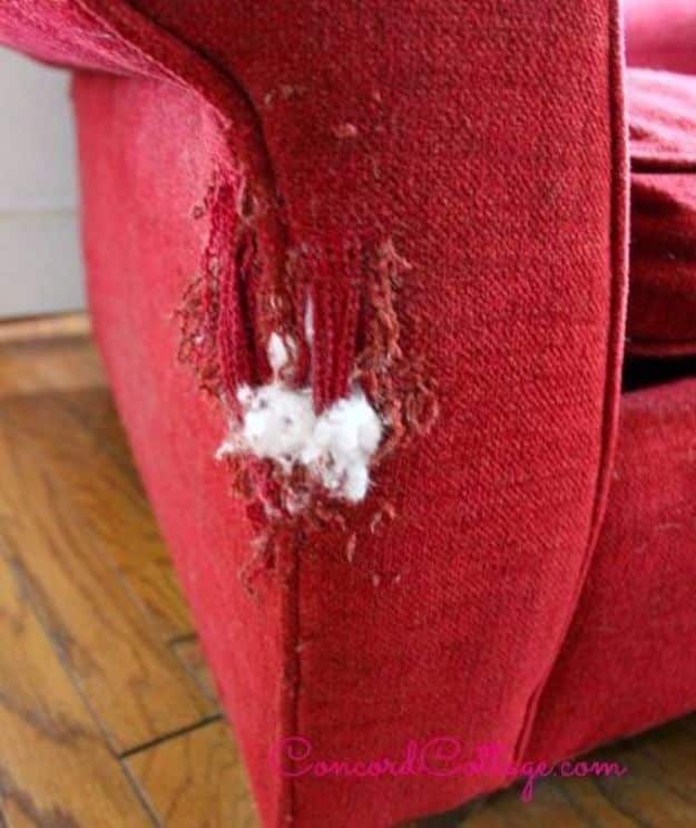 Easy Home Repair Hacks - Repair Cat Scratched Sofa Chair - Quick Ways To Fix Your Home With Cheap and Fast DIY Projects - Step by step Tutorials, Good Ideas for Renovating, Simple Tips and Tricks for Home Improvement on A Budget #diy #homeimprovement