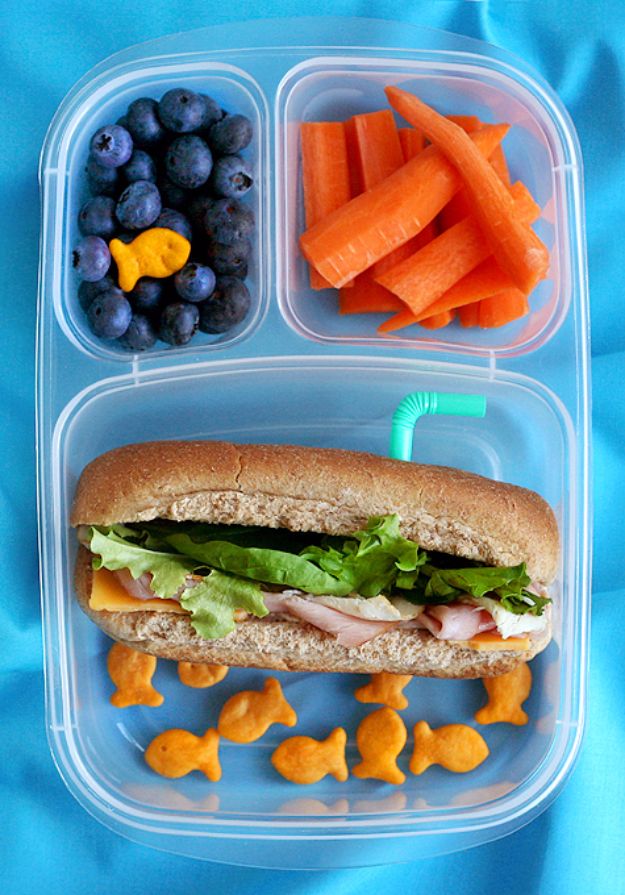 Back to School Lunch Ideas - Submarine Lunch - Quick Snacks, Lunches and Homemade Lunchables - Bento Box Style Lunch for People in A Hurry - Fast Lunch Recipes to Pack Ahead - Healthy Ideas for Kids, Teens and Adults 