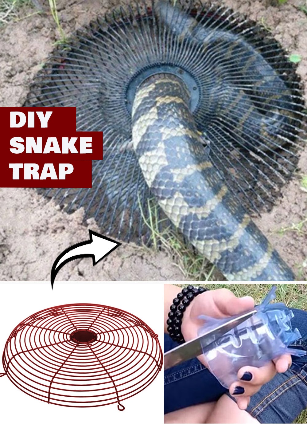 DIY Snake Trap - How to Get Rid of Backyard Snakes