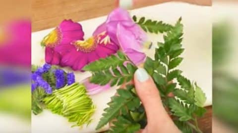 She Cuts Flowers And What She Does With Them Will Surprise You. Watch! | DIY Joy Projects and Crafts Ideas