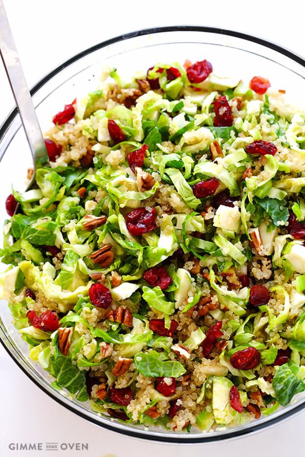 Healthy Thanksgiving Recipes - Brussels Sprouts, Cranberry And Quinoa Salad - Low fat Versions of Your Favorite Holiday Recipe for Turkey, Stuffing, Gravy, Pie and Desserts, Appetizers, Vegetables and Side Dishes like Spinach, Broccoli, Cranberries, Mashed Potatoes, Sweet Potatoes and Green Beans - Easy and Quick Last Minute Thanksgiving Recipes for Low Carb, Low Fat and Clean Eating Diet 