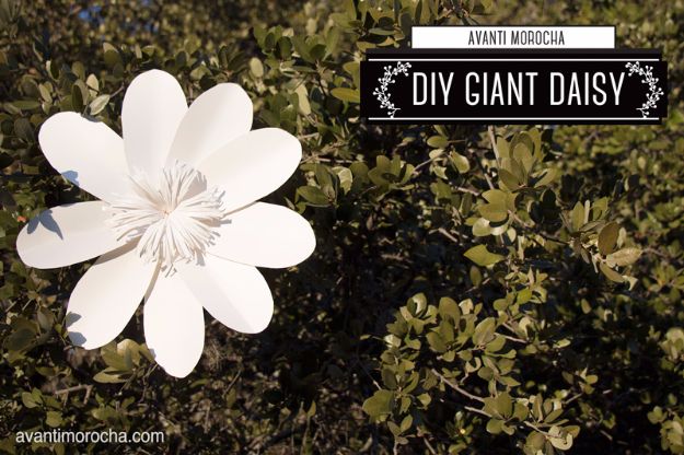 DIY Wedding Decor - DIY Giant Daisy Backdrop - Easy and Cheap Project Ideas with Things Found in Dollar Stores - Simple and Creative Backdrops for Receptions On A Budget - Rustic, Elegant, and Vintage Paper Ideas for Centerpieces, and Vases 