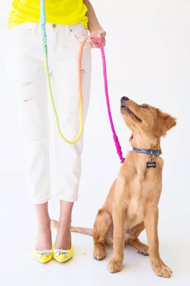 Last Minute Christmas Gifts - DIY Technicolor Dog Leash - Quick DIY Gift Ideas and Easy Christmas Presents To Make for Mom, Dad, Family and Friends - Dollar Store Crafts and Cheap Homemade Gifts 