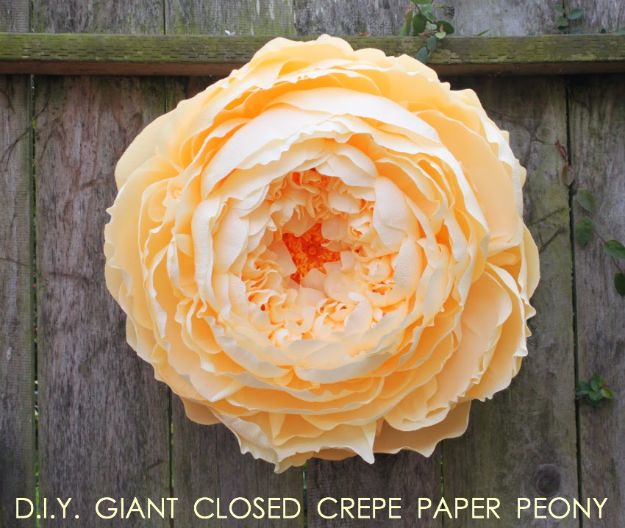 DIY Paper Flowers - Giant Closed Crepe Paper Peony - How To Make A Paper Flower - Large Wedding Backdrop for Wall Decor - Easy Tissue Paper Flower Tutorial for Kids - Giant Projects for Photo Backdrops - Daisy, Roses, Bouquets, Centerpieces - Cricut Template and Step by Step Tutorial 