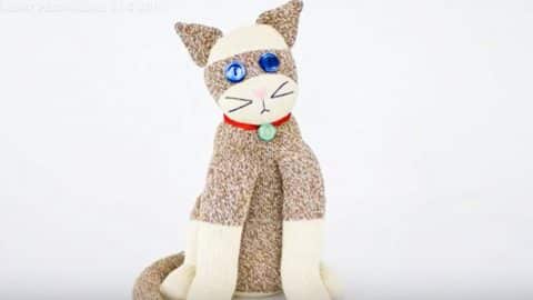 How to Make A Sock Cat | DIY Joy Projects and Crafts Ideas