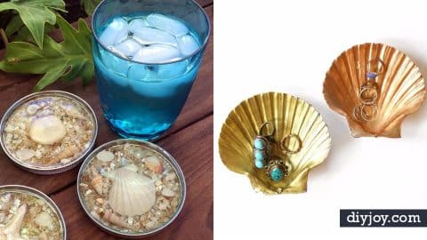 31 DIY Ideas to Make With Sea Shells | DIY Joy Projects and Crafts Ideas