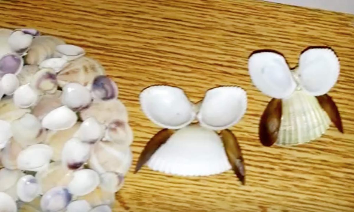 5 amazing shell craft ideas/sea shells crafts when you are bored