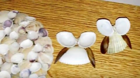 She Glues Shells On A CD And What She Does Next Makes For The Cutest Beach Decor! | DIY Joy Projects and Crafts Ideas