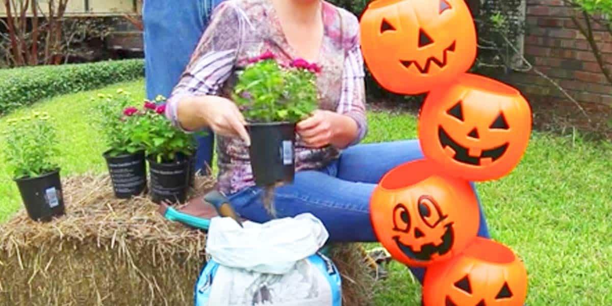 Watch The Whimsical Thing She Does With These Pumpkins For Some Fun Outdoor Decor! | DIY Joy Projects and Crafts Ideas