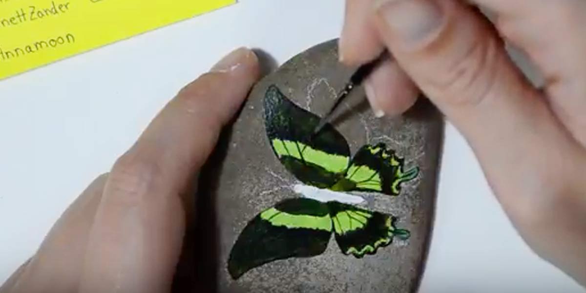 She Draws A Butterfly On A River Rock And Watch How She Transforms It