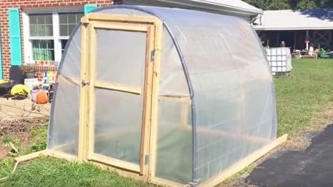 He Builds An Easy And Cost Effective Greenhouse Before The Cold Weather Arrives | DIY Joy Projects and Crafts Ideas