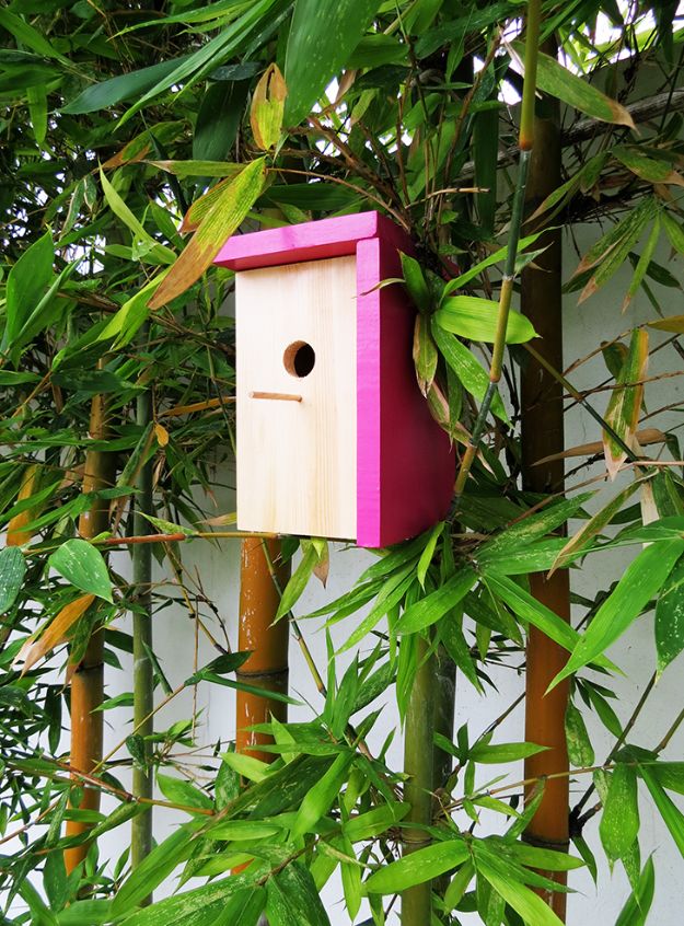 DIY Bird Houses - Build A Modern Birdhouse - Easy Bird House Ideas for Kids and Adult To Make - Free Plans and Tutorials for Wooden, Simple, Upcyle Designs, Recycle Plastic and Creative Ways To Make Rustic Outdoor Decor and a Home for the Birds - Fun Projects for Your Backyard This Summer 