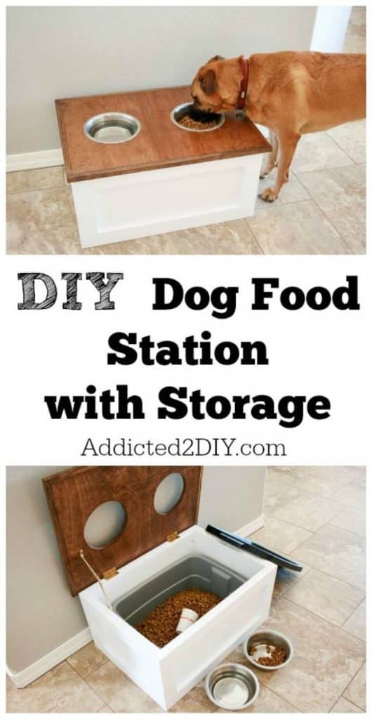 Your Dog Needs One of These 38 DIY Pet Bowls and Feeding Stations