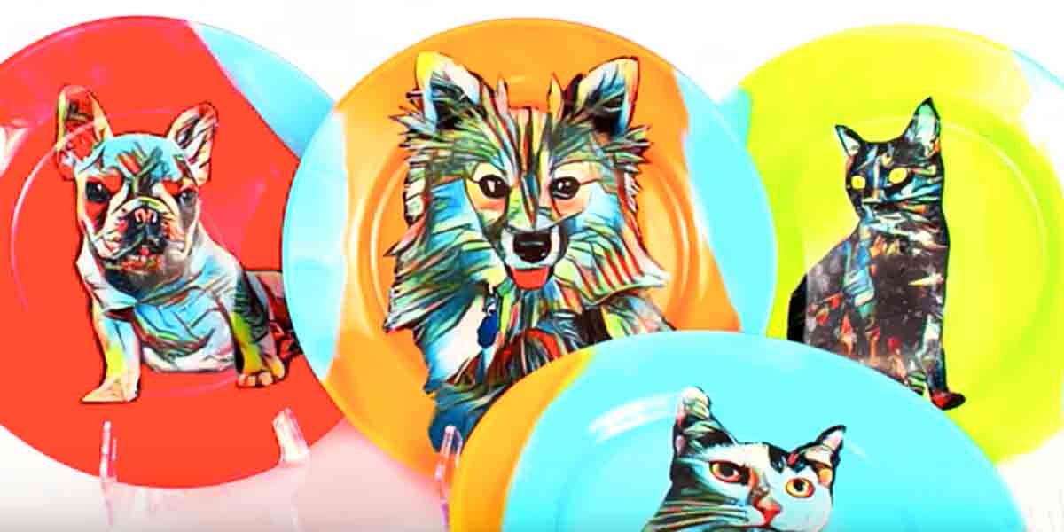 Watch How He Makes These Fabulously Fun Pet Portrait Plates! | DIY Joy Projects and Crafts Ideas