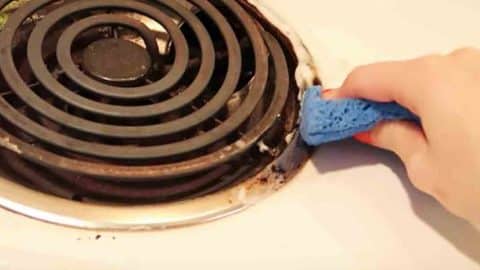 8 Ways You’re Cleaning Your Kitchen Wrong And Simple Tips That Will Surprise You! | DIY Joy Projects and Crafts Ideas