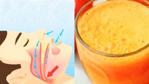 Drink This Juice Before Bedtime To Stop Snoring And Sleep Apnea | DIY Joy Projects and Crafts Ideas
