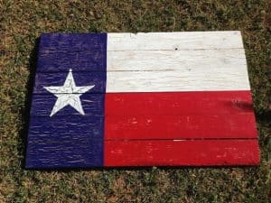 40 Best DIY Ideas For Everyone Who Loves Texas