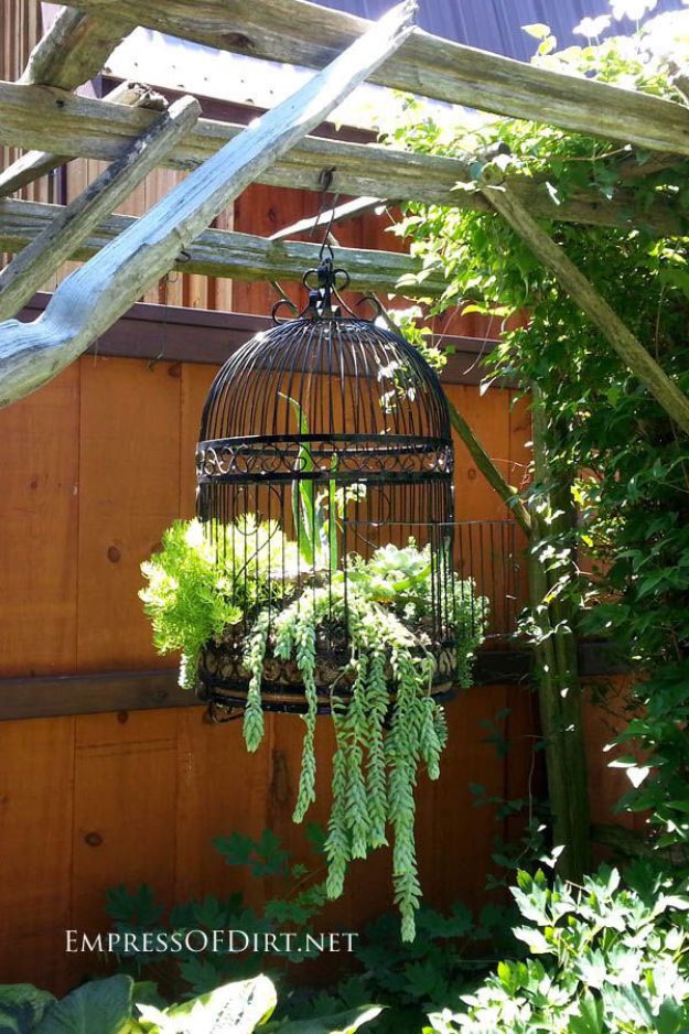 DIY Succulent Ideas - Bird cage hanging Succulent Garden Planter - Creative Garden Art Ideas - Country Style Decorating Ideas