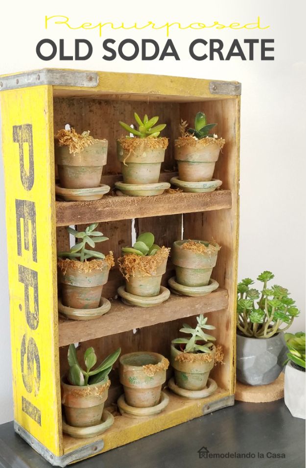 DIY Gardening Ideas for Plant Stands - Old Soda Crate Succulent Garden - Creative Home Decor Ideas from Wooden Crate