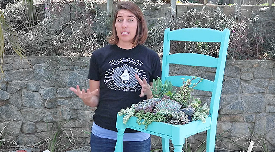 How To Plant Your Succulents In A Chair | DIY Joy Projects and Crafts Ideas