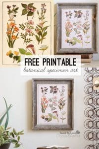 50 Best Free Printables for Walls