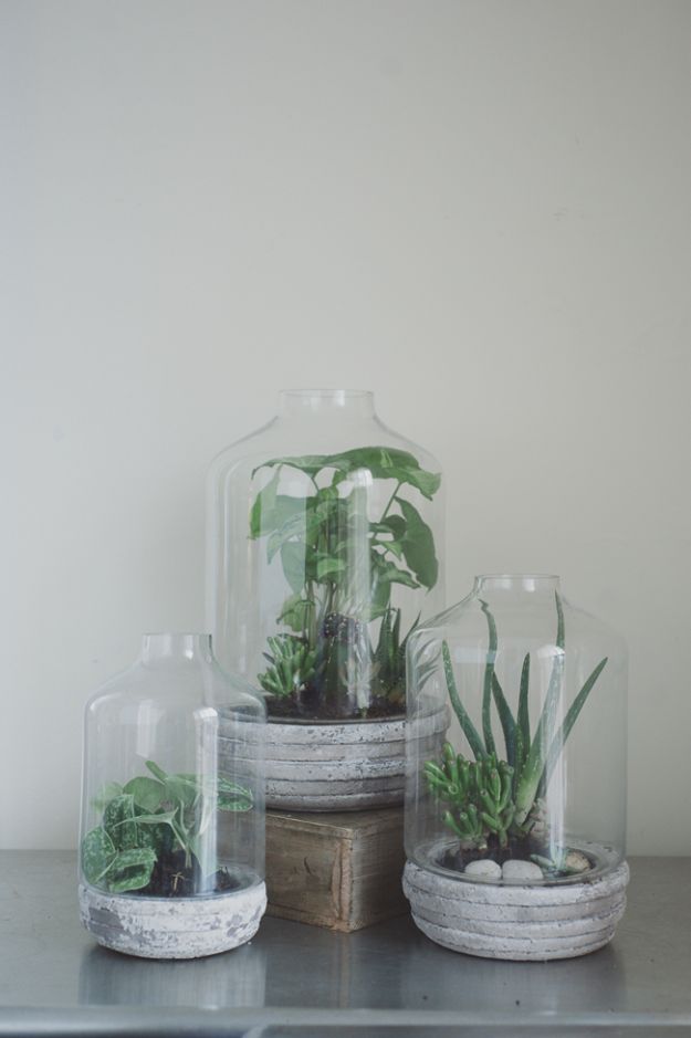 DIY Projects With Concrete - Concrete Succulent Terrariums - Easy Home Decor and Cheap Crafts Made With Cement - Ideas for DIY Christmas Gifts, Outdoor Decorations