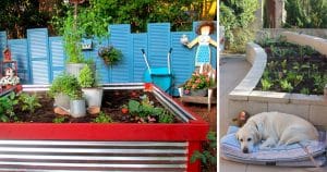 Turns Out, The Perfect Backyard Garden Starts With One of These 36 Ideas