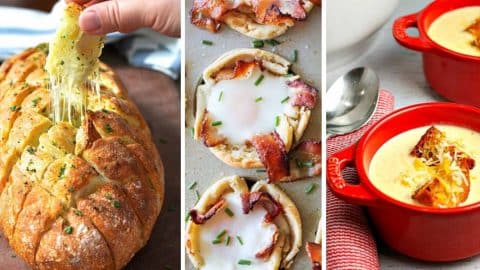 50 Cheese Recipes for the All The Cheese Lovers Out There | DIY Joy Projects and Crafts Ideas