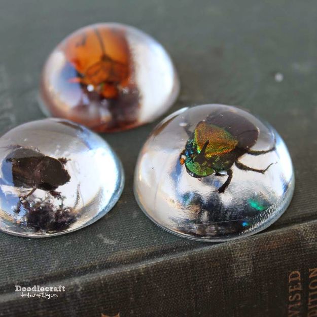 DIY Resin Casting Crafts - Beetles in Resin Jewelry - Homemade Resin and Epoxy Craft Projects and Ideas - How to Make Resin Jewelry - Use Silicon Molds to Make Paper Weights, Creative Christmas Ornaments and Crafts to Make and Sell - Flowers, Pictures, Clocks, Tabletop, Inspiration for Handmade Jewelry and Items to Sell on Etsy #crafts