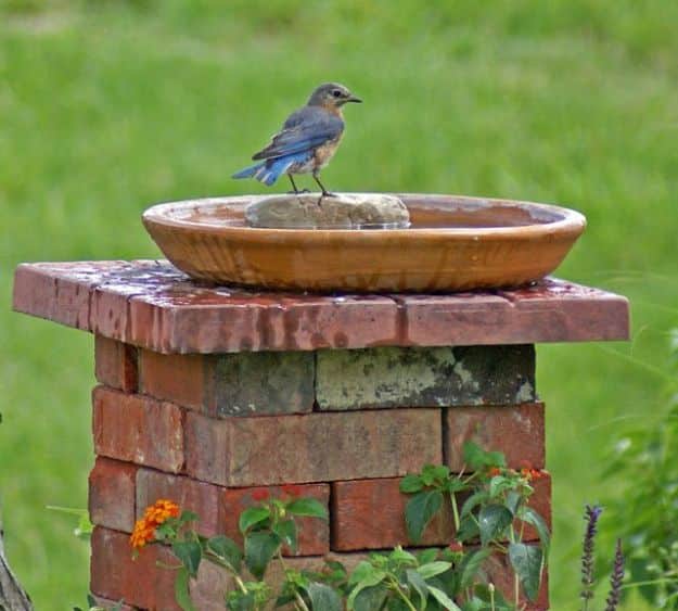 DIY Ideas With Bricks - Brick Birdbath - Home Decor and Creative Do It Yourself Projects to Make With Bricks - Ideas for Patio, Walkway, Fireplace, Firepit, Mantle, Grill and Art - Inexpensive Decoration Tutorials With Step By Step Instruction for Brick DIY #diy #homeimprovement