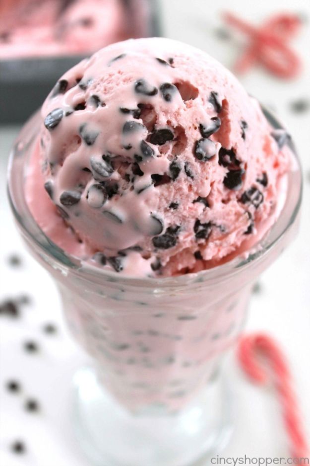Homemade Ice Cream Recipes - Peppermint Chocolate Chip Ice Cream - How To Make Homemade Ice Cream At Home - Recipe Ideas for Making Vanilla, Chocolate, Strawberry, Caramel Ice Creams - Step by Step Tutorials for Easy Mixes and Dairy Free Options - Cuisinart and Ice Cream Machine, No Churn, Mix in A Bag and Mason Jar - Healthy and Keto Diet Friendly #recipes #icecream