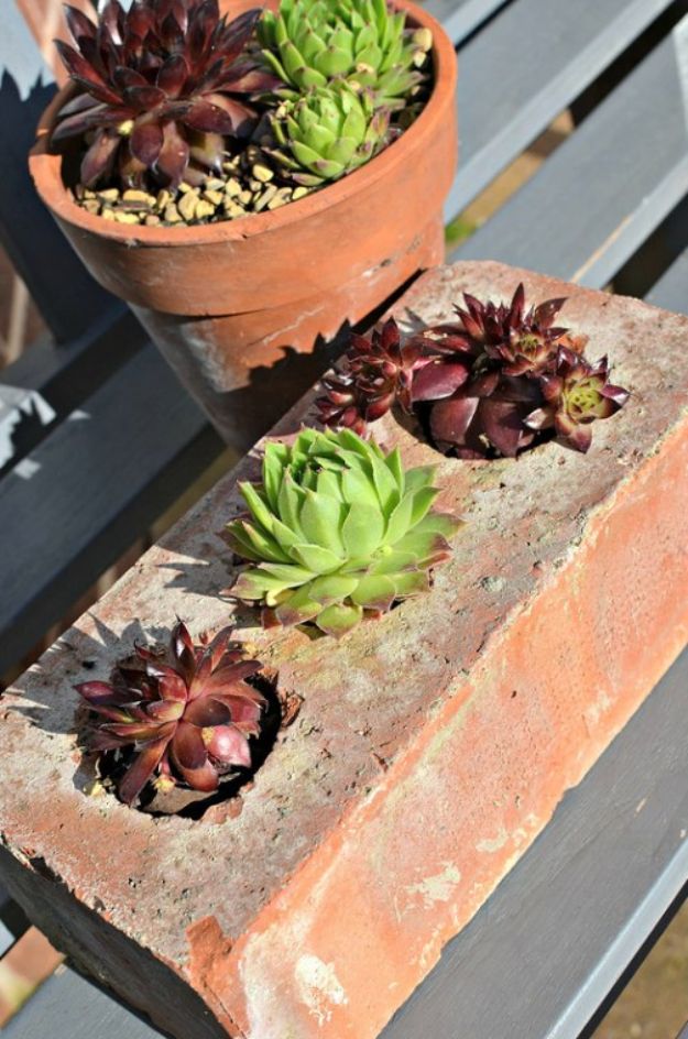 DIY Ideas With Bricks - Succulent Pot - Home Decor and Creative Do It Yourself Projects to Make With Bricks - Ideas for Patio, Walkway, Fireplace, Firepit, Mantle, Grill and Art - Inexpensive Decoration Tutorials With Step By Step Instruction for Brick DIY #diy #homeimprovement