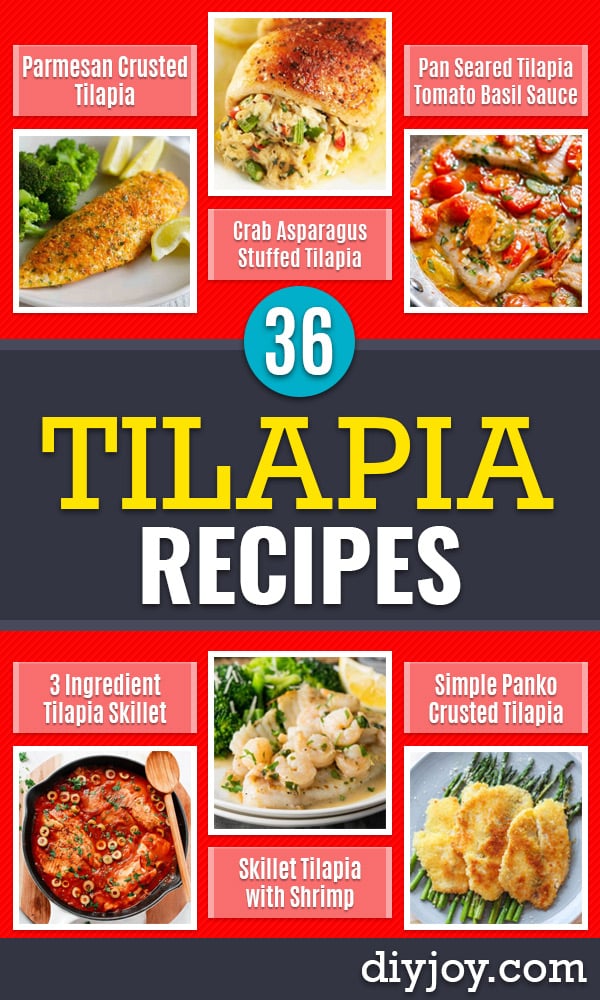 Tilapia Recipes - Best Recipe Ideas for Tilapia Fish - Dinner, Lunch, Snacks and Appetizers - Healthy Salads, Pastas and Easy Weeknight Dinners, Lunches for Work - How to Make Tilapia