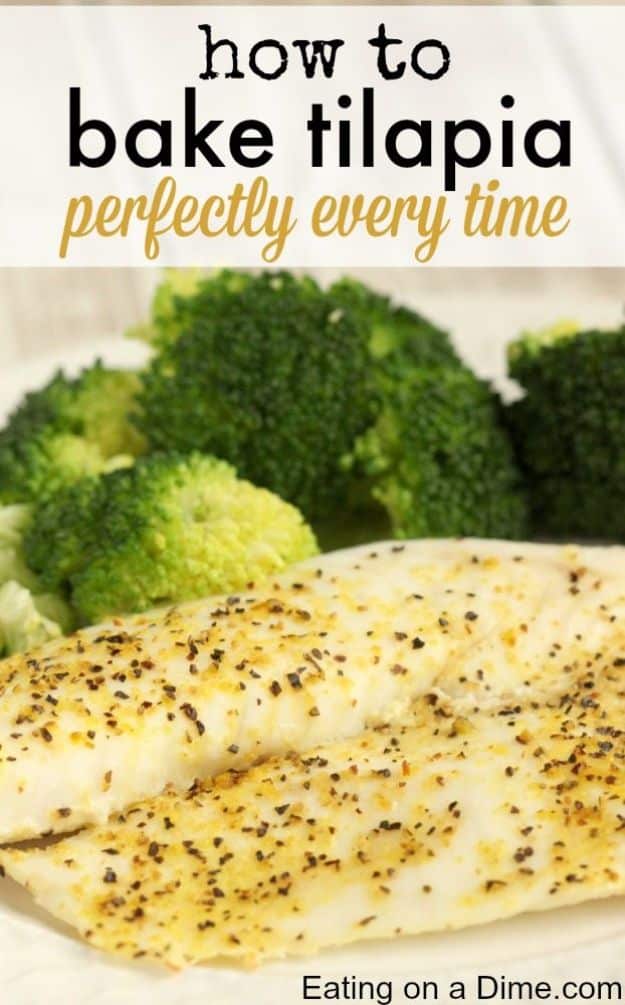 Tilapia Recipes - Easy Baked Tilapia - Best Recipe Ideas for Tilapia Fish - Dinner, Lunch, Snacks and Appetizers - Healthy Foods, Gluten Free Low Carb and Keto Friendly Dishes - Salads, Pastas and Easy Weeknight Dinners, Lunches for Work - Broiled, Grilled, Lemon Baked, Fried and Quick Ways to Make Tilapia #fish #healthy #recipes