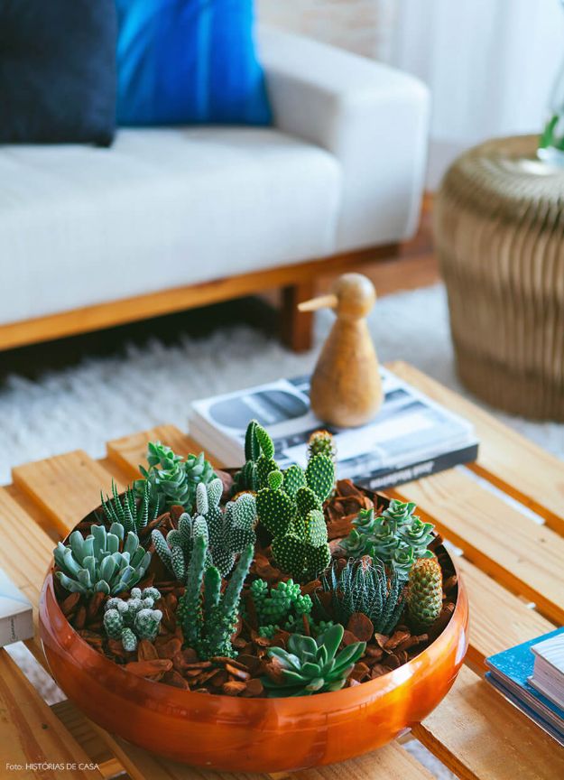 Cheap DIY Living Room Decor Ideas - Succulent Arrangement - Cool Modern, Rustic Creative Farmhouse Home Decor On A Budget - Do It Yourself Coffee Tables, Wall Art, Rugs, Pillows and Chairs. Step by Step Tutorials and Instructions #diydecor #livingroom #decorideas