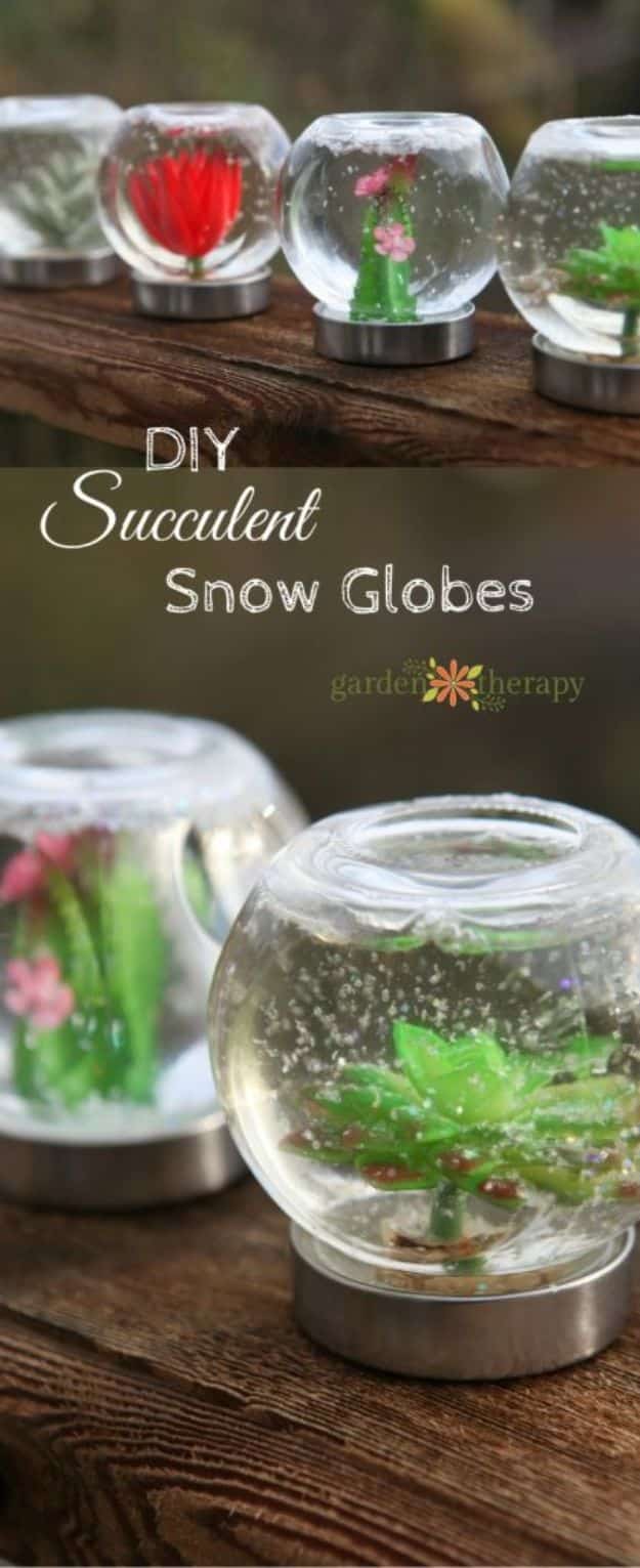 DIY Snow Globe Ideas - Succulent Snow Globe - Easy Ideas To Make Snow Globes With Kids - Mason Jar, Picture, Ornament, Waterless Christmas Crafts - Cheap DYI Holiday Gift Ideas