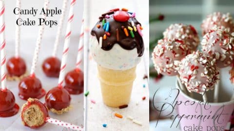 34 Cake Pop Recipes | DIY Joy Projects and Crafts Ideas