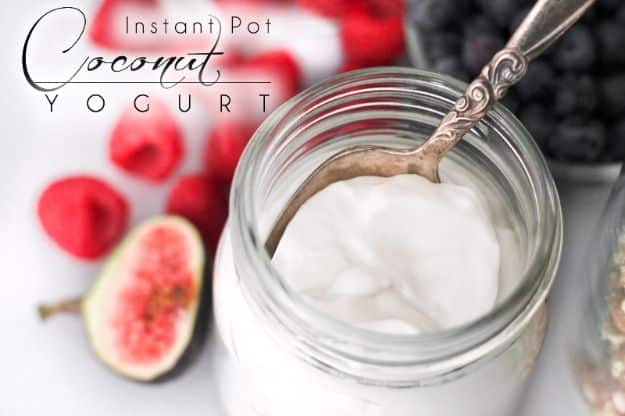 Instant Pot Desserts - Instant Pot Coconut Yogurt - Easy Dessert Ideas to Make in Your Instant Pot - Quick Cheesecake, Brownies, Cake - Healthy Idea With Fruit, Gluten Free