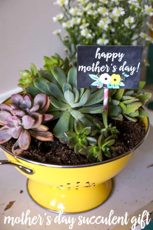 Cheap Mothers Day Gifts - Succulent Colander Gift - Homemade Presents and Gift Ideas for Mom - Cute and Easy Things to Make For Mother