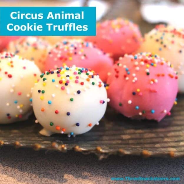 No Bake Cookie Recipes | Circus Animal Cookie Truffles - Easy and Quick Recipe Ideas for Cookies | Oatmeal, Healthy, Gluten free