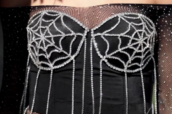 Crystal Spider Web Costume