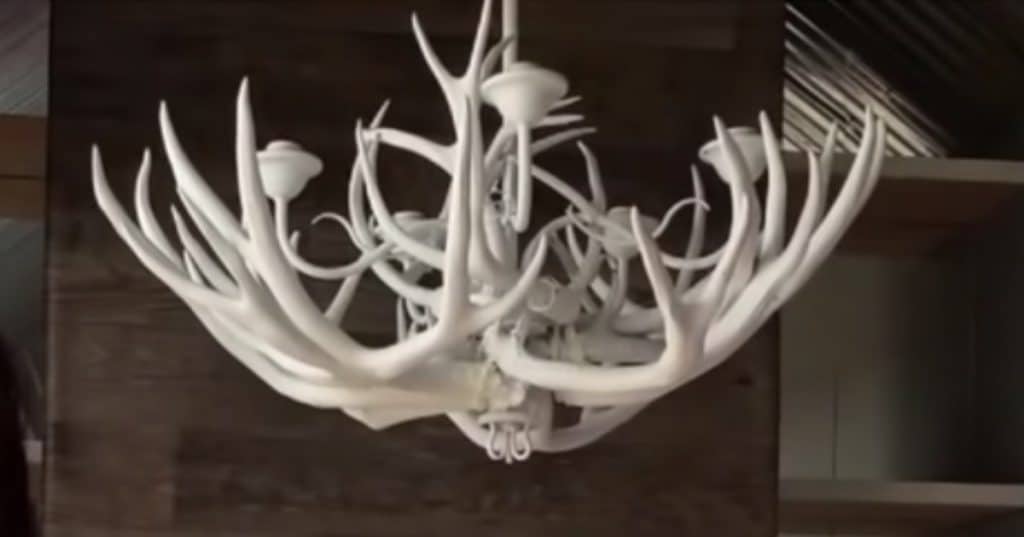 Deer Antler Chandelier