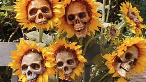 DIY Sunflower Skulls | DIY Joy Projects and Crafts Ideas