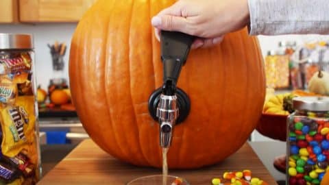 Serve Drinks From A Pumpkin This Halloween | DIY Joy Projects and Crafts Ideas