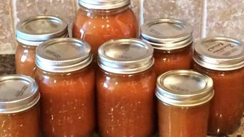 Pumpkin Spice Moonshine Recipe | DIY Joy Projects and Crafts Ideas