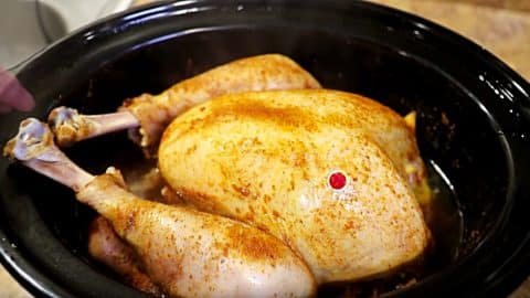 How To Cook A Whole Turkey In A Crockpot | DIY Joy Projects and Crafts Ideas