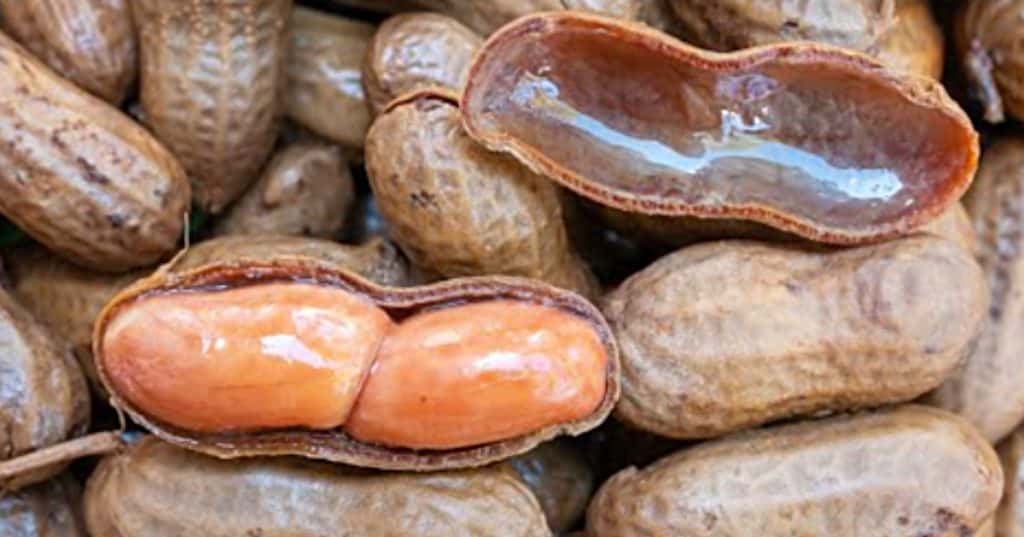 Crockpot Southern Boiled Peanuts Recipe